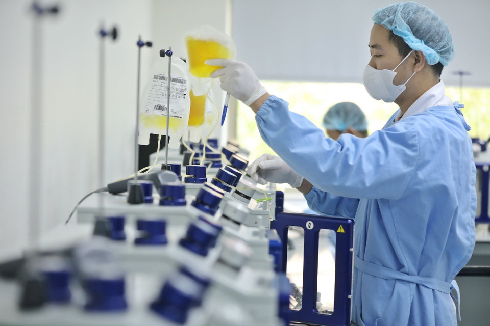 Tách các thành phần máu bằng ép máy tự động thành từng thành phần khác nhau, huyết tương, tiểu cầu, bạch cầu…(Ảnh: Minh Quyết/ TTXVN)