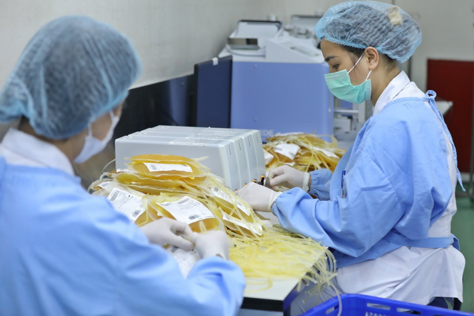 Khâu hoàn thiện, sau khi hoàn thành các chế phẩm máu sẽ được cố định trong các túi và đem đi dán nhãn.(Ảnh: Minh Quyết/ TTXVN)