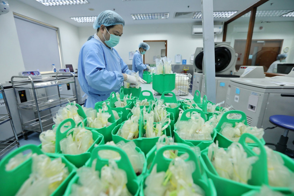 Khi cho vào quay ly tâm các định lượng mẫu sẽ được chia thành các bịch bằng nhau.(Ảnh: Minh Quyết/ TTXVN)