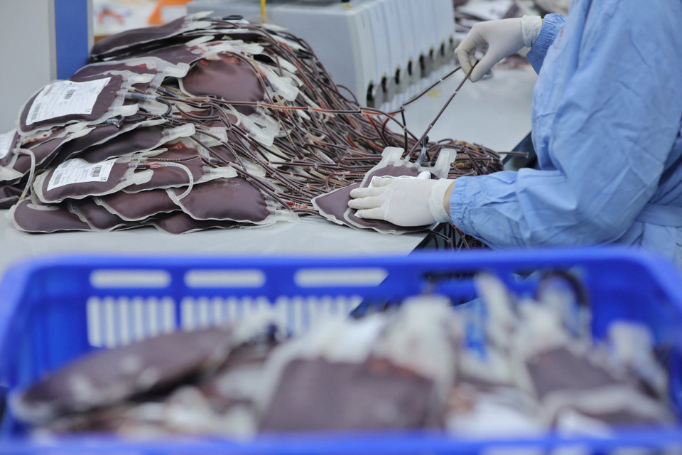 Khâu gài hồng cầu.(Ảnh: Minh Quyết/ TTXVN)