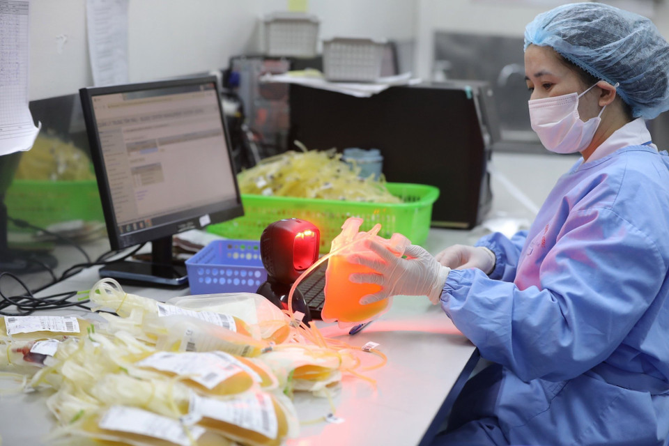 Khâu vào dữ liệu cho các sản phẩm máu hoàn thiện.(Ảnh: Minh Quyết/ TTXVN)