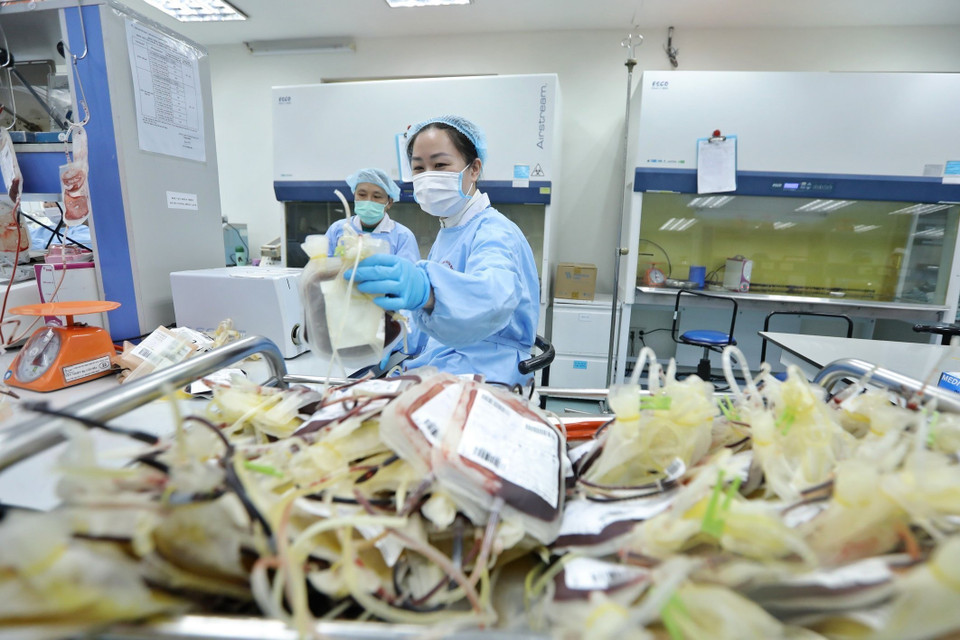 Khâu nối để lọc các thành phần máu.(Ảnh: Minh Quyết/ TTXVN)