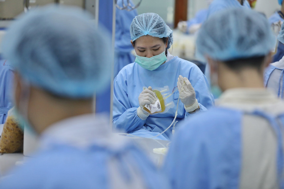 Thông thường quá trình xử lý máu hiến tặng sẽ kéo dài nhiều giờ trước khi được đưa tới các bệnh viện. Hiện, Khoa Điều chế các thành phần máu đang chia ra hai ca làm việc để xử lý kịp thời lượng máu hiến chuyển về.(Ảnh: Minh Quyết/ TTXVN)