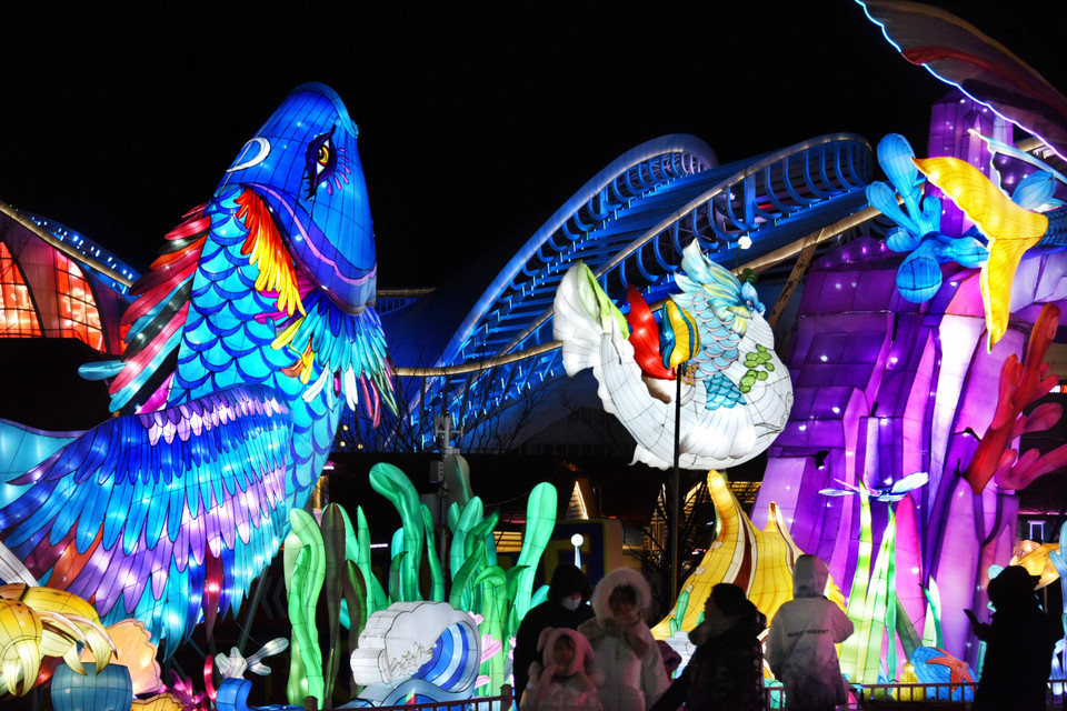 Đèn lồng trang trí chào đón Năm mới tại Thanh Đảo, Trung Quốc.(Ảnh: THX/TTXVN)