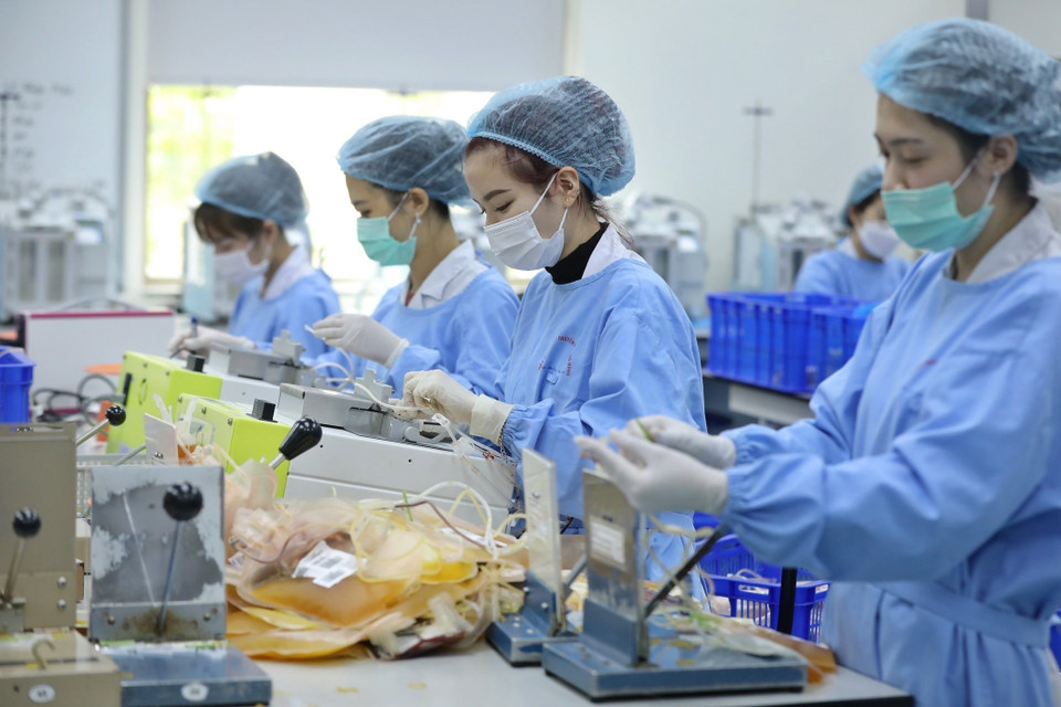 Từ một đơn vị máu toàn phần ban đầu, các chuyên viên y tế sẽ ly tâm, tách các thành phần máu bằng cách ép thủ công hoặc bằng máy vào từng túi sản phẩm thu được riêng biệt.(Ảnh: Minh Quyết/ TTXVN)