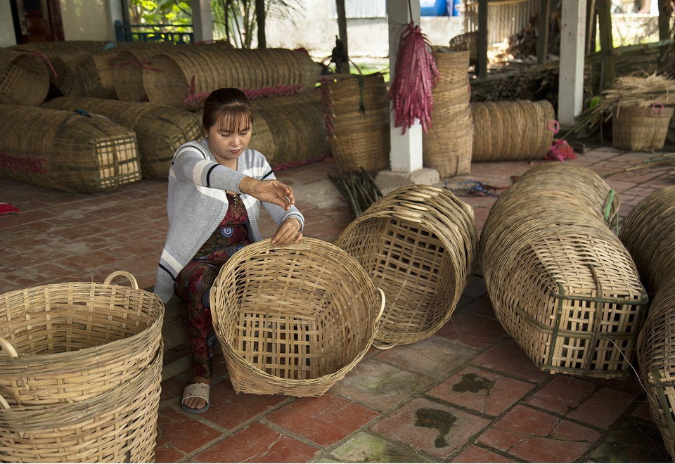 Đan sọt tại làng nghề đan cần xé ở ấp Chí Thành, xã Tân Thành (Tân Hiệp, Kiên Giang). (Ảnh: Hồng Đạt/TTXVN)