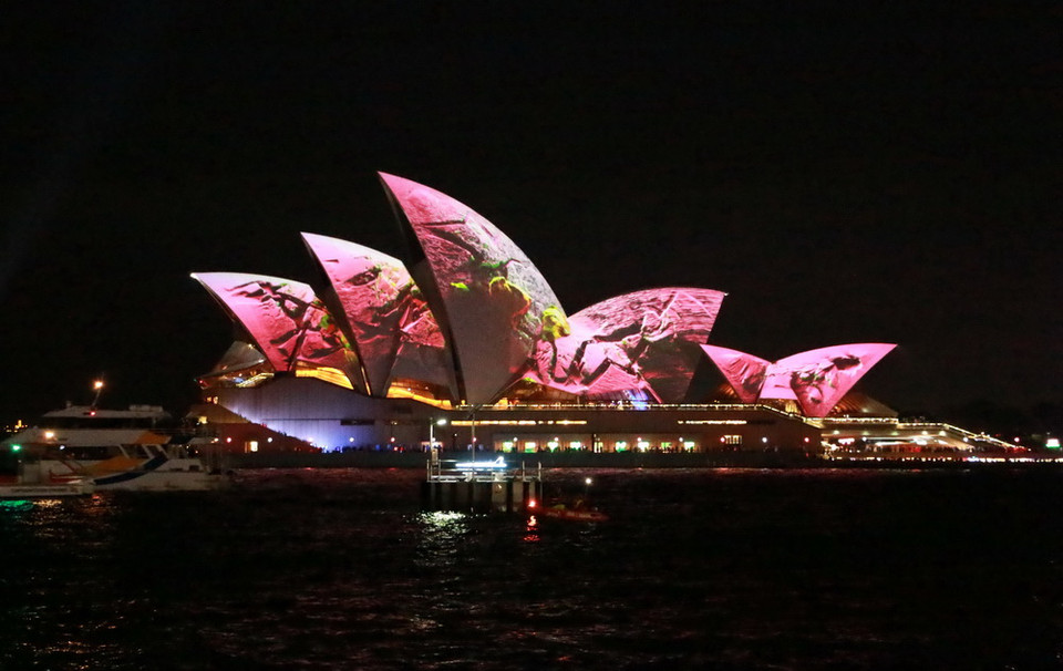 (Ảnh: Khánh Linh/Vietnam+)