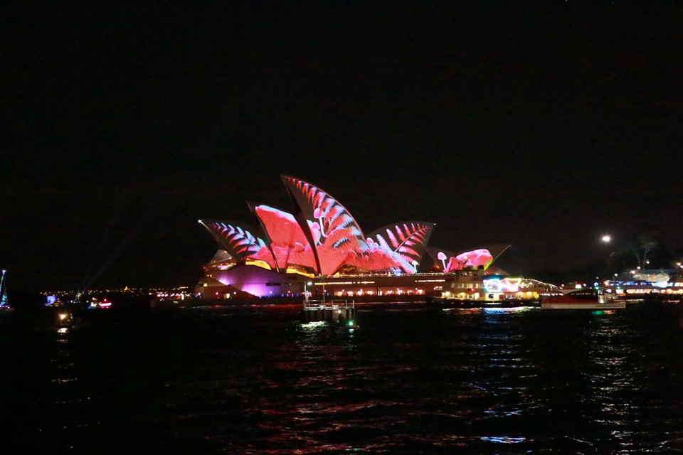 (Ảnh: Khánh Linh/Vietnam+)