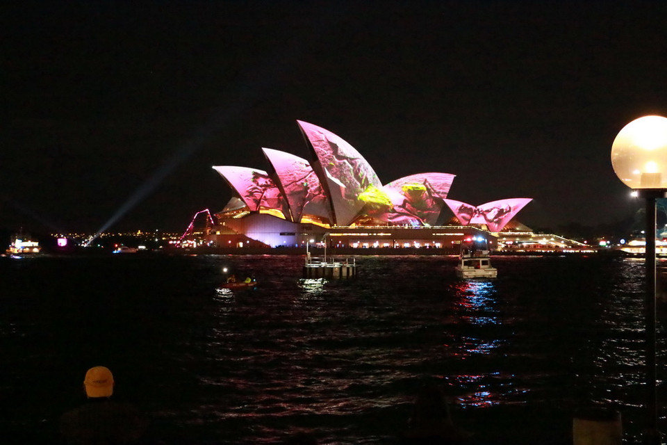 (Ảnh: Khánh Linh/Vietnam+)