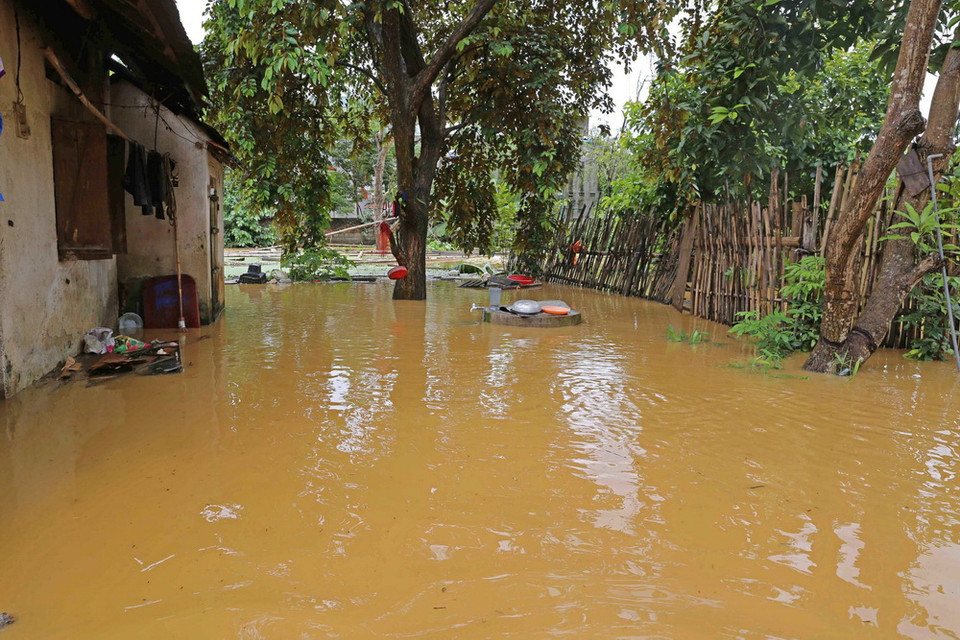 (Ảnh: Phạm Hậu/TTXVN)