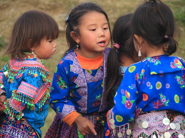 "Tổ buôn" tí hon. (Ảnh: ChiLê/Vietnam+)