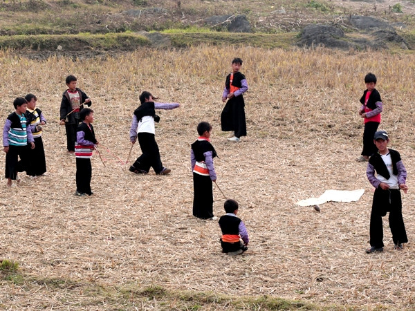 Tổ đánh cù. (Ảnh: ChiLê/Vietnam+)