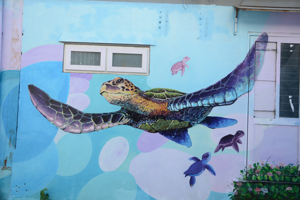 Những bức tường cũ kỹ được khoác 'áo mới' bằng những bức tranh đa dạng hình ảnh, màu sắc. (Ảnh: Văn Dũng/TTXVN)