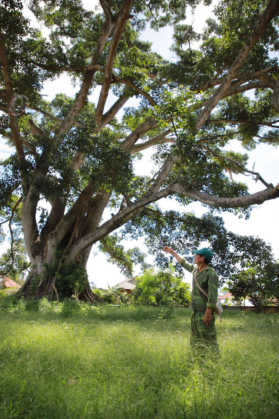 Ông Trọng cho biết xưa kia, người Thái rất nghèo, không có tiền mua thuốc chữa bệnh, thường đến nhờ thầy cúng cũng là người bốc thuốc nam. Chữa khỏi bệnh cho những người ốm thì thầy cúng nhận họ làm con nuôi. (Ảnh: Vietnam+)