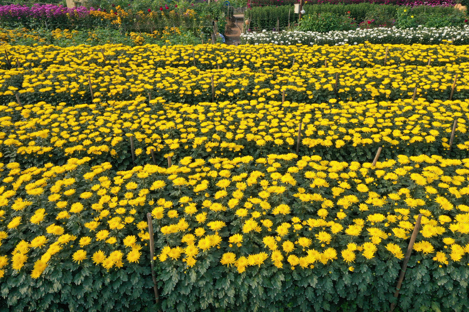 (Ảnh: Xuân Mai/Vietnam+)