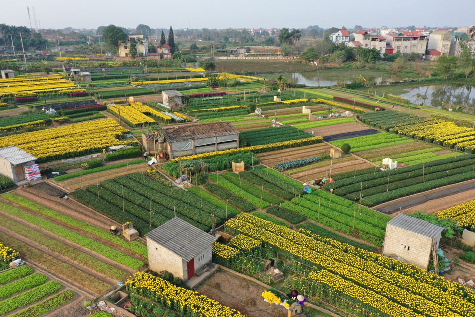 (Ảnh: Xuân Mai/Vietnam+)