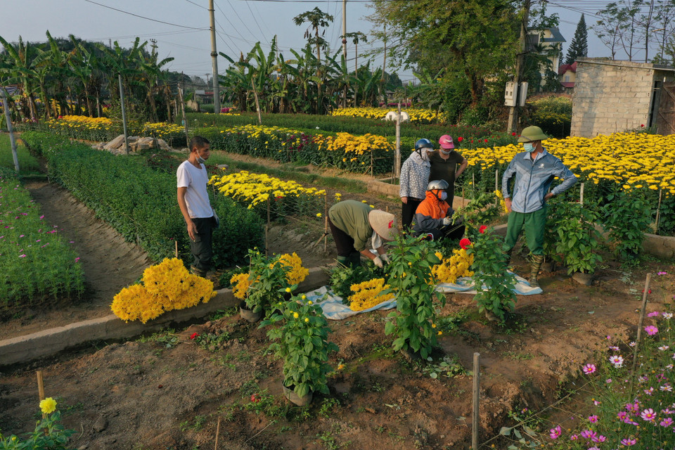(Ảnh: Xuân Mai/Vietnam+)