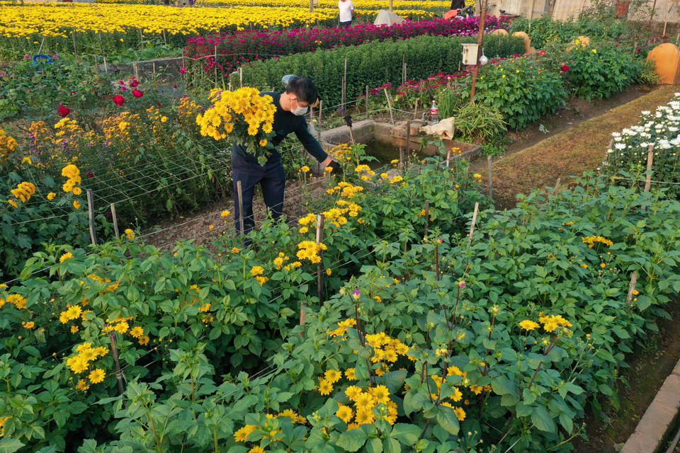 (Ảnh: Xuân Mai/Vietnam+)