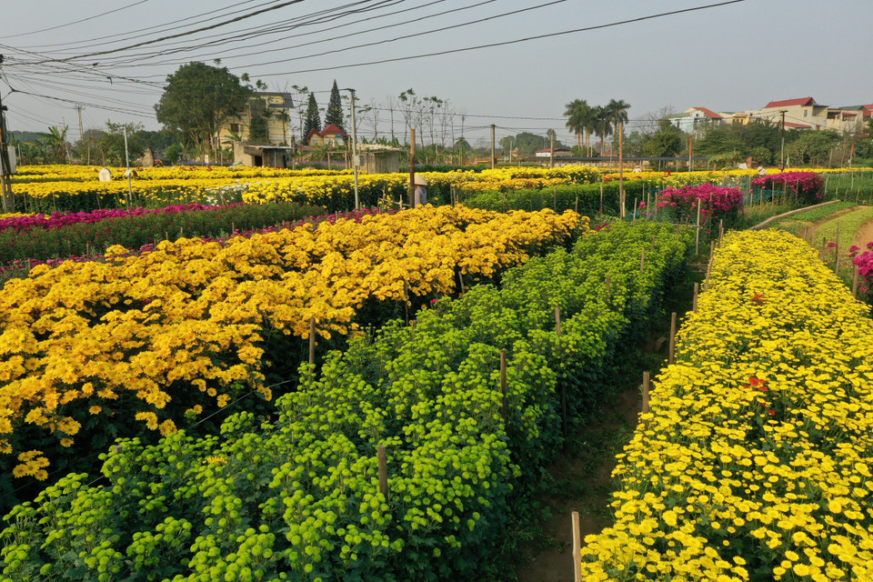 (Ảnh: Xuân Mai/Vietnam+)