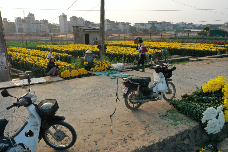 (Ảnh: Xuân Mai/Vietnam+)