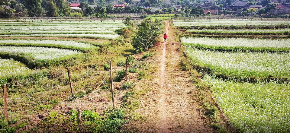 (Ảnh: Xuân Mai/Vietnam+)