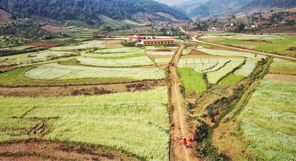 (Ảnh: Xuân Mai/Vietnam+)