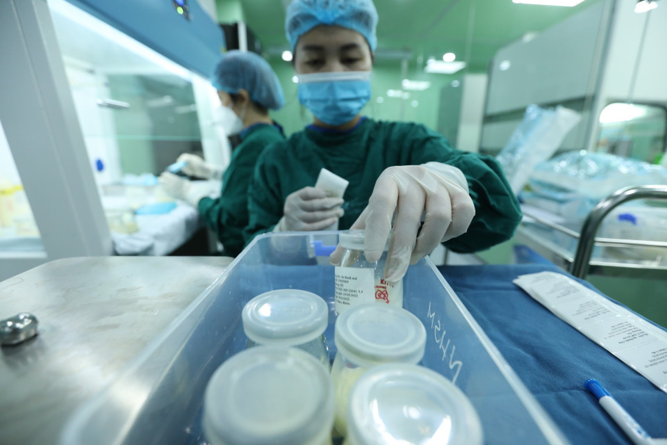 Nhân viên y tế thực hiện dán nhãn trước khi đưa sữa đi bảo quản. (Ảnh: Minh Quyết/TTXVN)