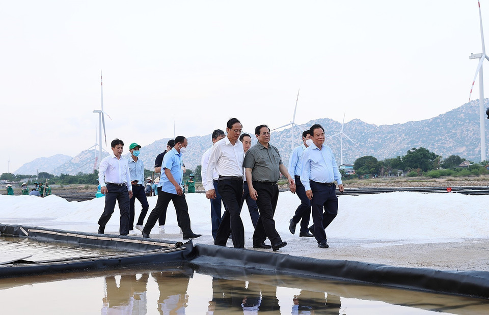 Thủ tướng Phạm Minh Chính khảo sát dự án sản xuất muối công nghiệp kết hợp điện gió và điện Mặt Trời tại xã Phước Minh, huyện Thuận Nam. (Ảnh: Dương Giang/TTXVN)