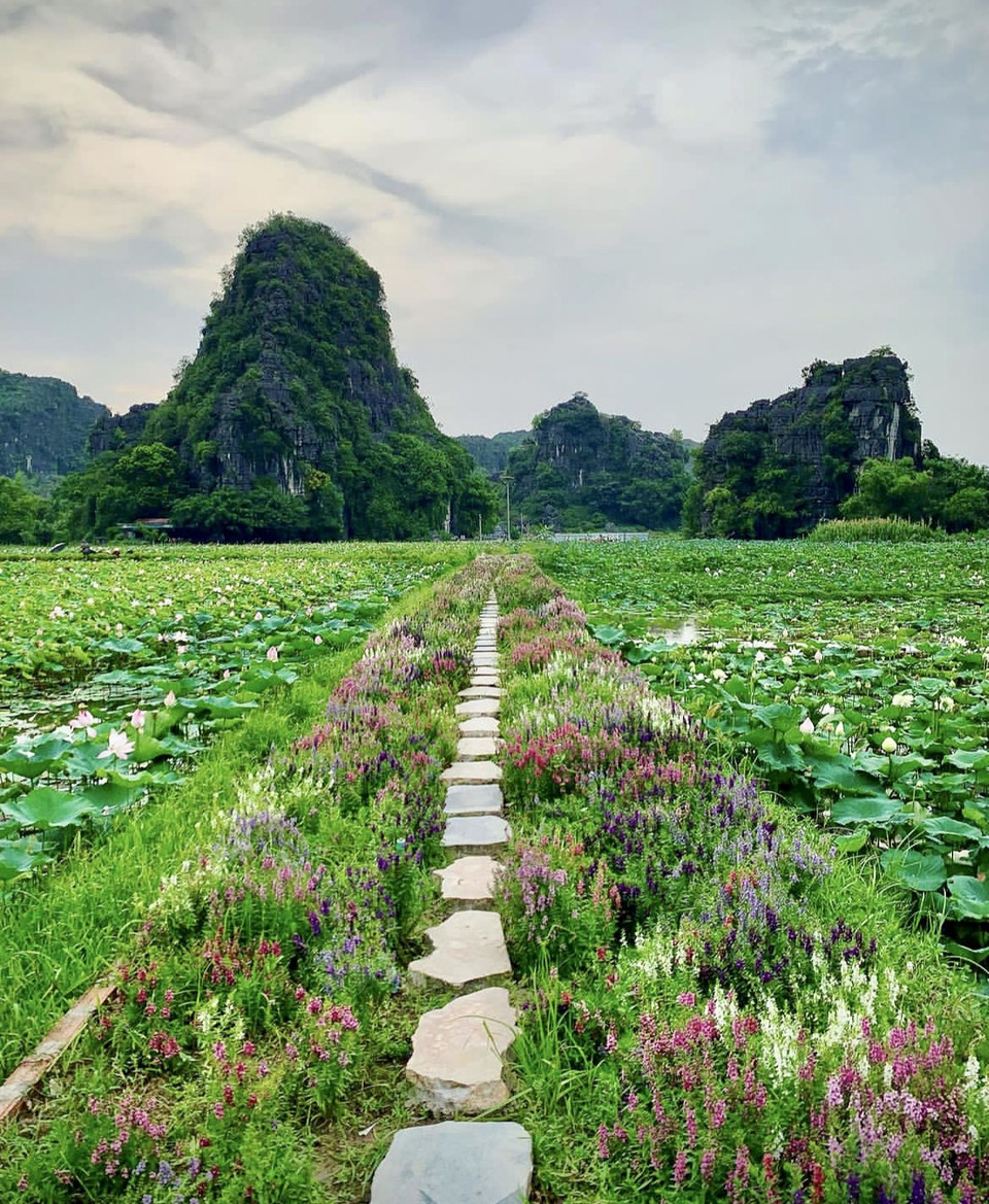 Những lối đi trồng hoa lãng mạn. (Ảnh: Mai Mai/Vietnam+)