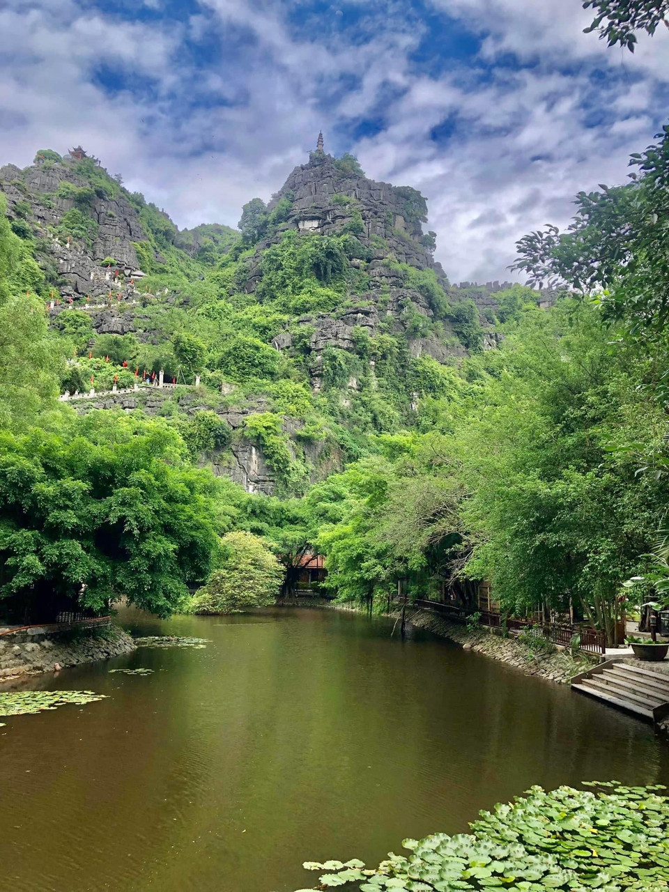 Hang Múa khéo chiều lòng du khách trong và ngoài nước với cảnh sắc nên thơ. (Ảnh: Mai Mai/Vietnam+)