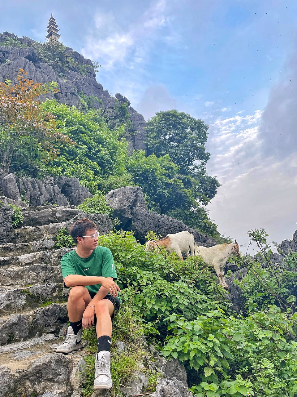 Những đàn dê tự nhiên sống trên núi Ngọa Long cũng là điểm nhấn được rất nhiều du khách yêu thích, đây cũng là điểm đến giúp bạn có trải nghiệm đặc biệt khi được leo núi cùng những chú dê. (Ảnh: Mai Mai/Vietnam+)