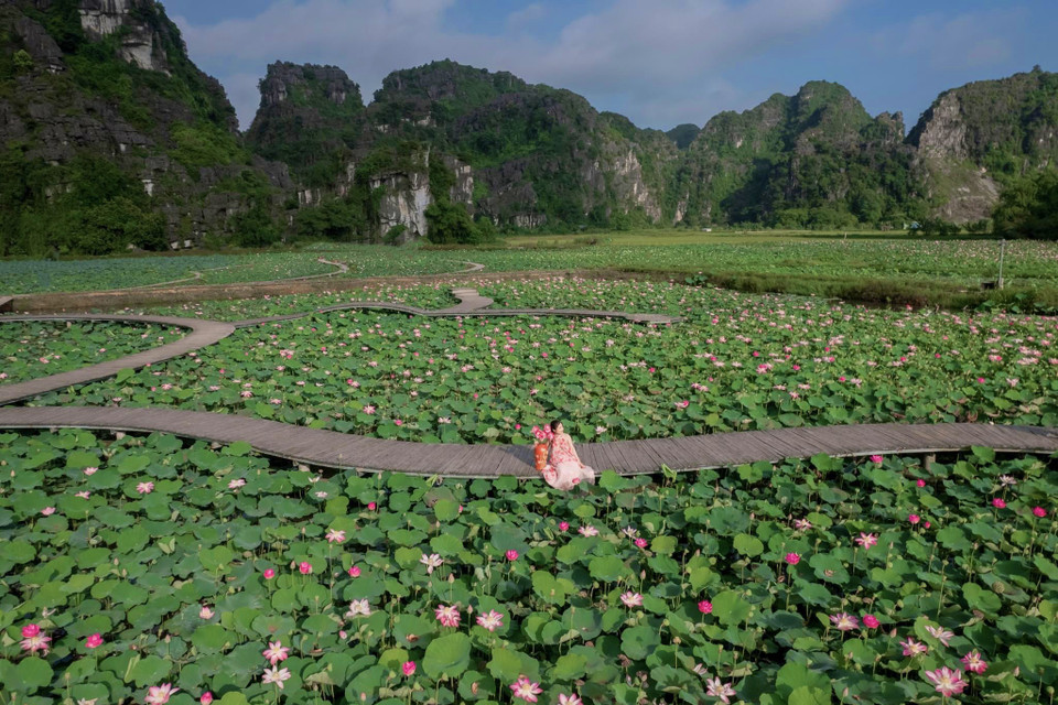 Thời tiết và phong cảnh miền Bắc những ngày đầu Thu phù hợp cho chuyến đi cuối tuần. Và ‘thiên đường sống ảo’ Hang Múa (tọa lạc trên đỉnh Ngọa Long hùng vỹ, Ninh Bình) là điểm đến đang nằm trong ‘tầm ngắm’ của du khách trên khắp các diễn đàn du lịch... (Ảnh: Mai Mai/Vietnam+)