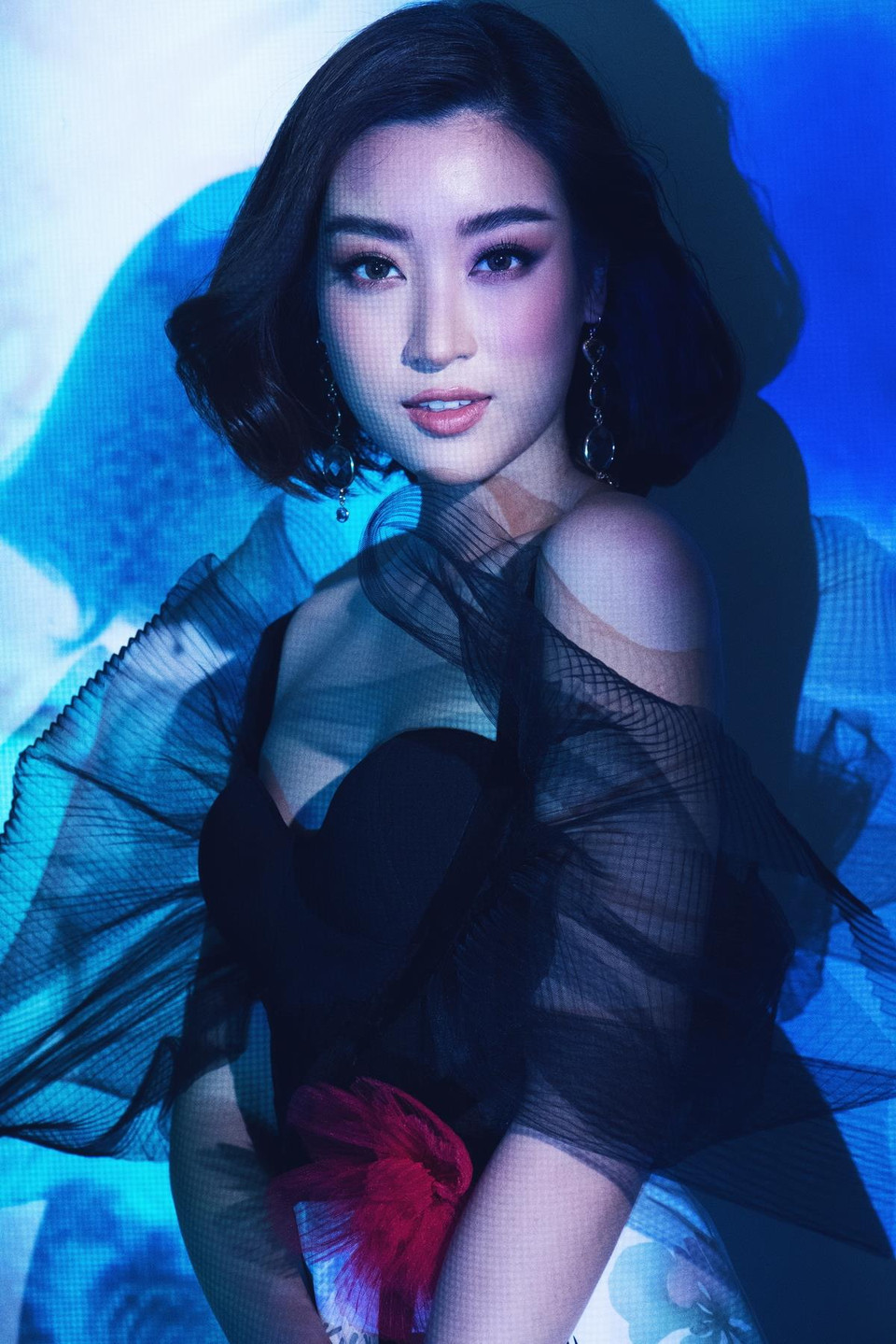 (Ảnh: Milor Trần) 