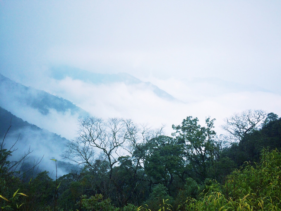 Khung cảnh đẹp như tranh mở ra trước mắt mặc dù hiếm hoi lắm mặt trời mới ló rạng từ mây mù. (Ảnh: Xuân Mai/Vietnam+)