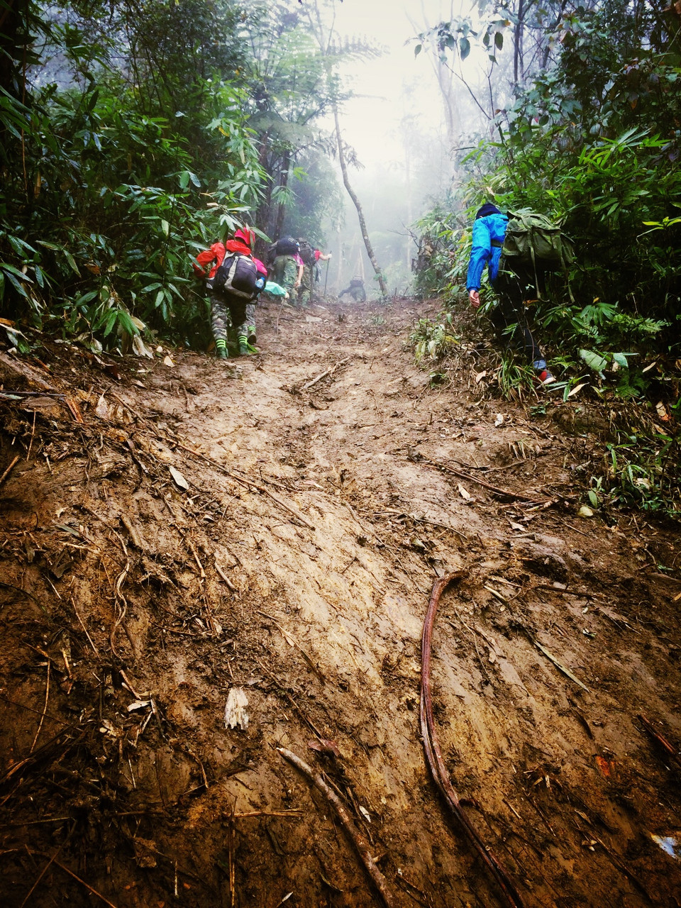Đặc biệt khi qua những con dốc thẳng đứng liên tiếp phải bám vào cây rừng để leo lên. (Ảnh: Xuân Mai/Vietnam+)