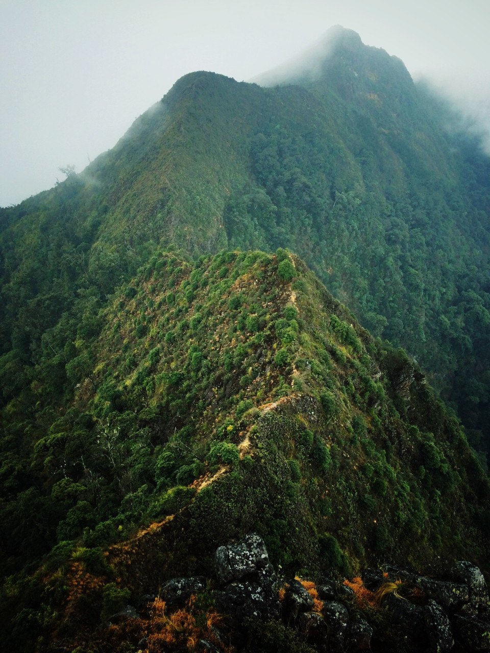Và đây là chân dung 'sống lưng khủng long' hùng vĩ. (Ảnh: Xuân Mai/Vietnam+)