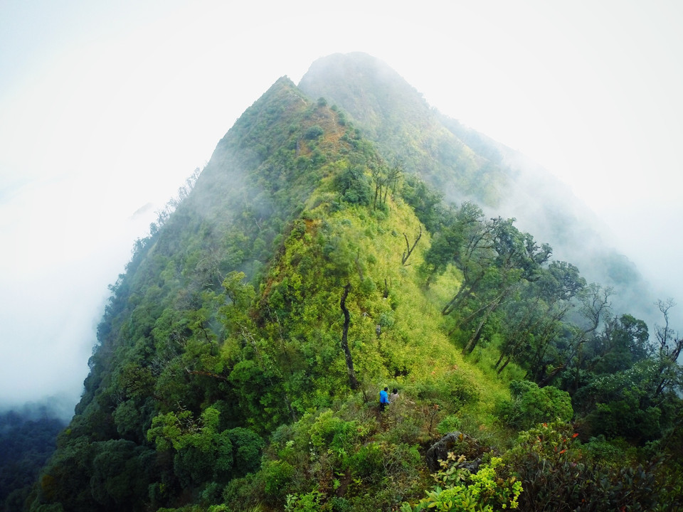 Toàn cảnh 'sống lưng khủng long' nhìn từ trên cao. (Ảnh: Xuân Mai/Vietnam+)