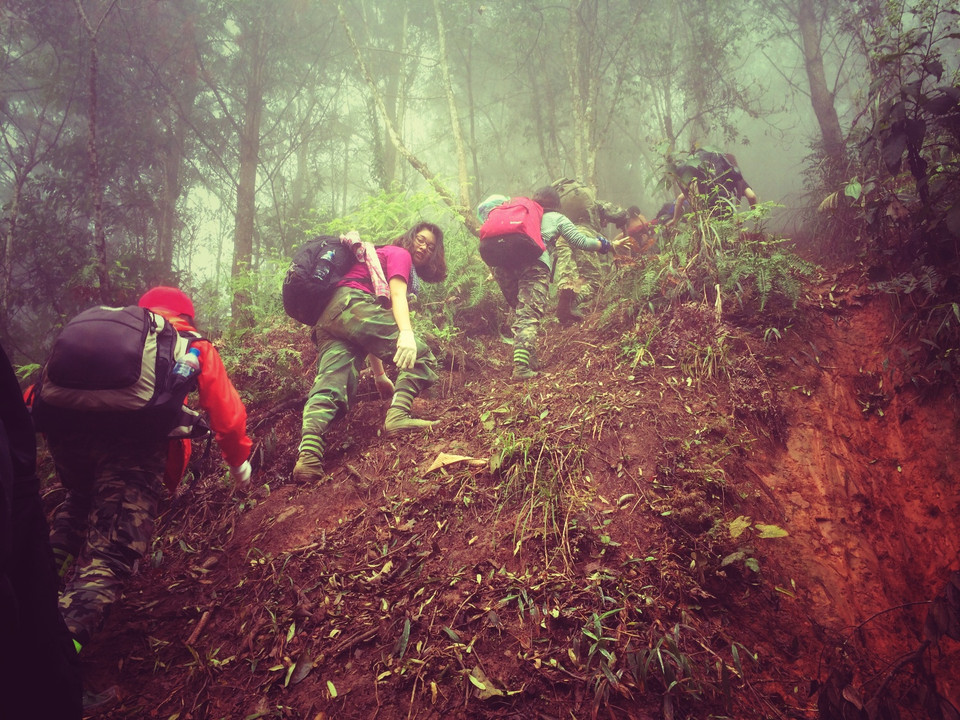 Thời tiết âm u và có mưa nên đường rừng trơn trượt khá nguy hiểm. (Ảnh: Xuân Mai/Vietnam+)