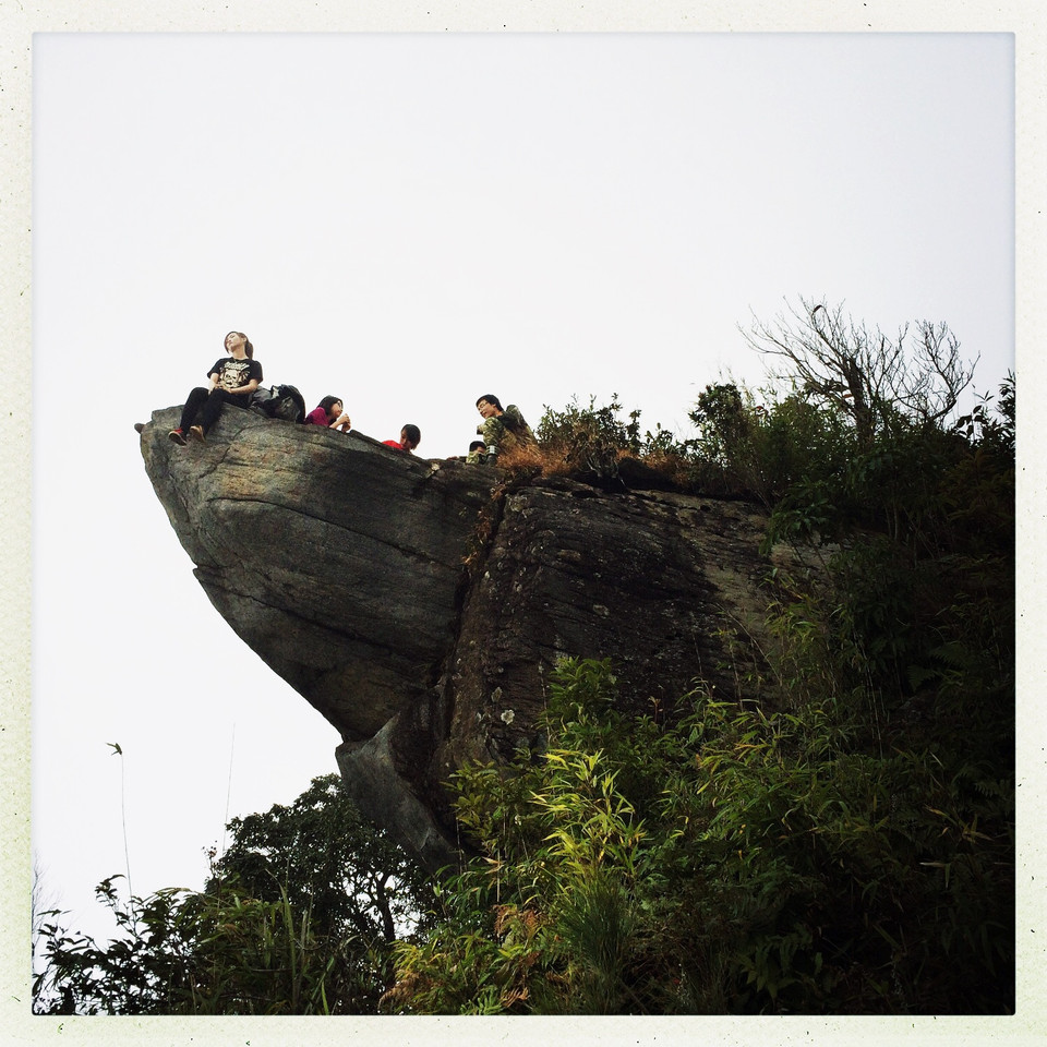 Sau khoảng 4 tiếng đồng hồ xuyên rừng, vượt dốc đoàn đã đến được 'đầu rùa huyền thoại' ở độ cao 2.100m. (Ảnh: Xuân Mai/Vietnam+)