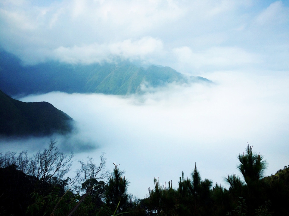 Gần hai tiếng đồng hồ chúng tôi phải bò cả bằng chân và tay qua những con dốc dài, qua những thung lũng mây trắng xóa... (Ảnh: Xuân Mai/Vietnam+)