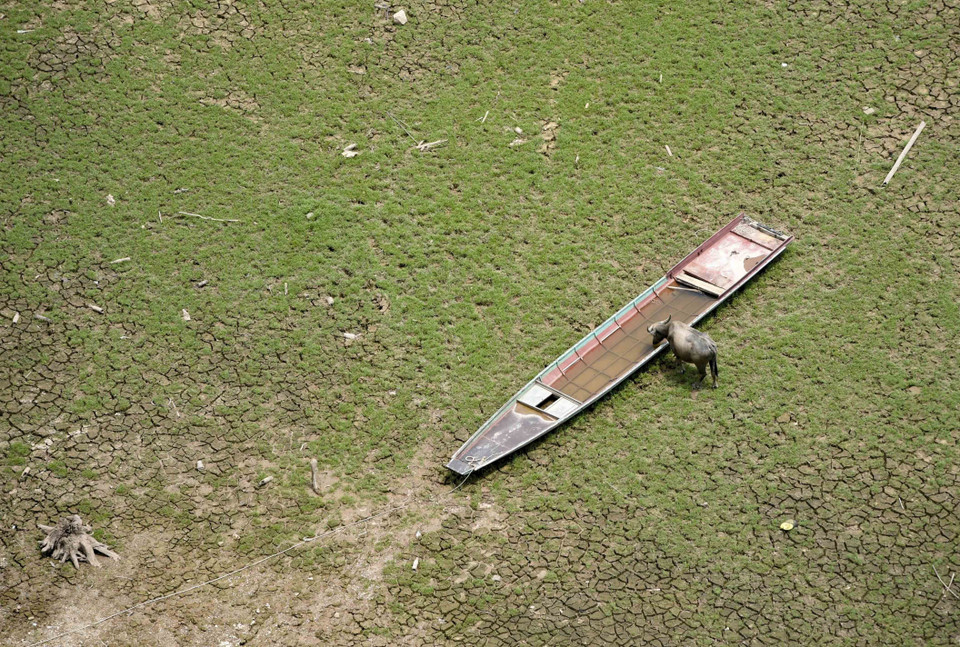 Những chiếc thuyền mắc cạn dưới đáy hồ. (Ảnh: Xuân Tư/TTXVN)