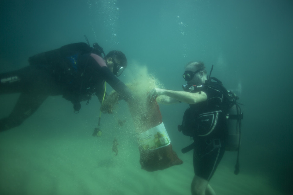 Hiệp định về Biển cả được LHQ thông qua ngày 19/6/2023 là một thỏa thuận lịch sử về môi trường, được xây dựng nhằm bảo vệ các hệ sinh thái quan trọng đối với nhân loại. Trong ảnh (tư liệu): Thợ lặn thu thập rác thải nhựa ở ngoài khơi bờ biển đảo Goree, Senegal. (Ảnh: AFP/TTXVN)