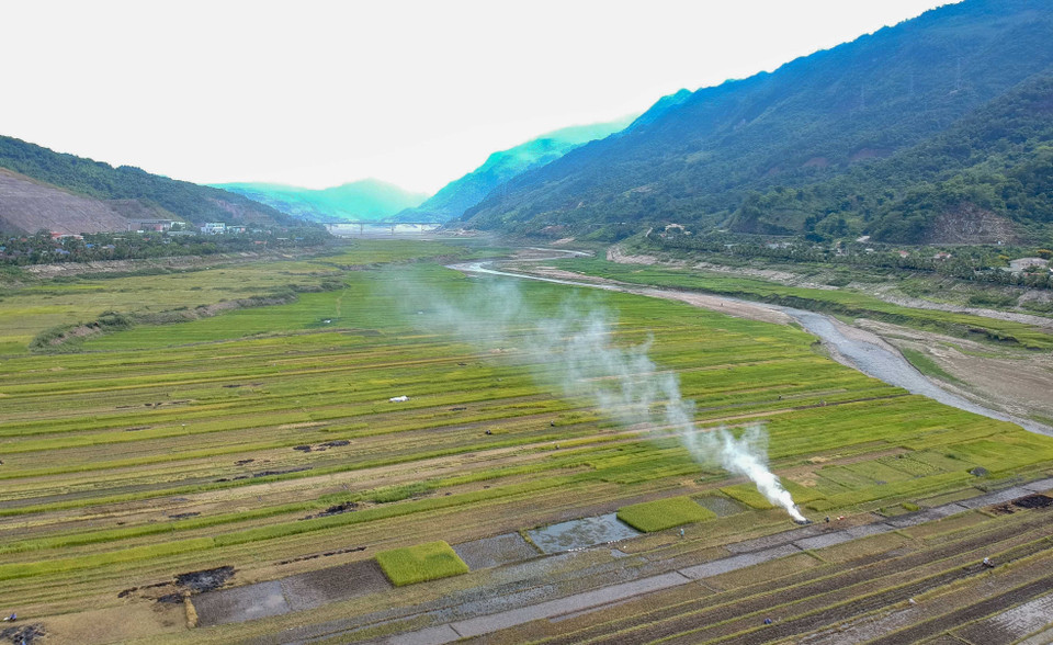 Những thửa ruộng nối dài dưới lòng hồ thủy điện.(Ảnh: Xuân Tư/TTXVN)