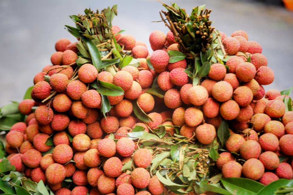 Các loại hoa quả như mận, vải được người dân mua nhiều để cúng bởi theo quan niệm xưa, các loại quả này có chức năng diệt sâu bọ tốt. (Ảnh: Tuấn Đức/TTXVN)