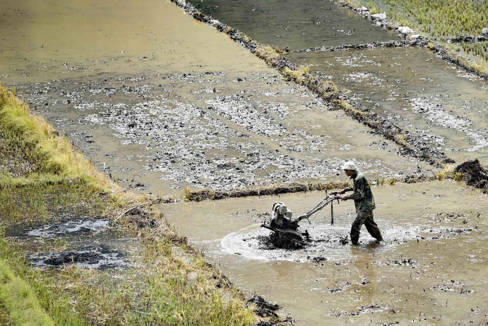 Người dân làm đất chuẩn bị gieo cấy vụ mới trước khi nước ngập. (Ảnh: Xuân Tư/TTXVN)