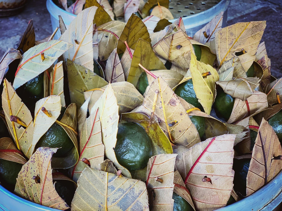 Bánh lá nếp. (Xuân Mai/Vietnam+) 
