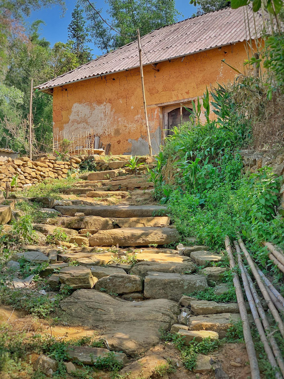 Nhà trình tường làm bằng đất với hai vòng trong và ngoài, thường đắp tường dày từ 40-45cm, trong lõi có xếp đá bằng nắm tay, cao khoảng 4,5-5m. (Ảnh: Xuân Mai/Vietnam+)