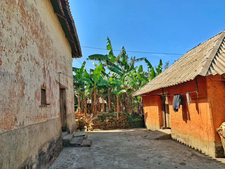 Diện tích trung bình mỗi ngôi nhà dao động từ 65-80m2, có mái dốc ngắn (4 mái) lợp bằng cỏ gianh (nay những ngôi nhà mới thường lợp mái tôn thay vì mái gianh truyền thống), không có hiên. Ngôi nhà có duy nhất một cửa ra vào ở chính giữa và thêm 1-2 cửa thông gió ở bên trái, hoặc bên phải lối ra vào, nhìn xa như lỗ tò vò. (Ảnh: Xuân Mai/Vietnam+)