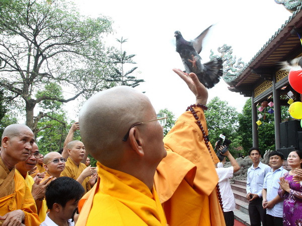 Thả chim bồ câu cầu nguyện hòa bình. (Ảnh: Hồ Cầu/TTXVN) 