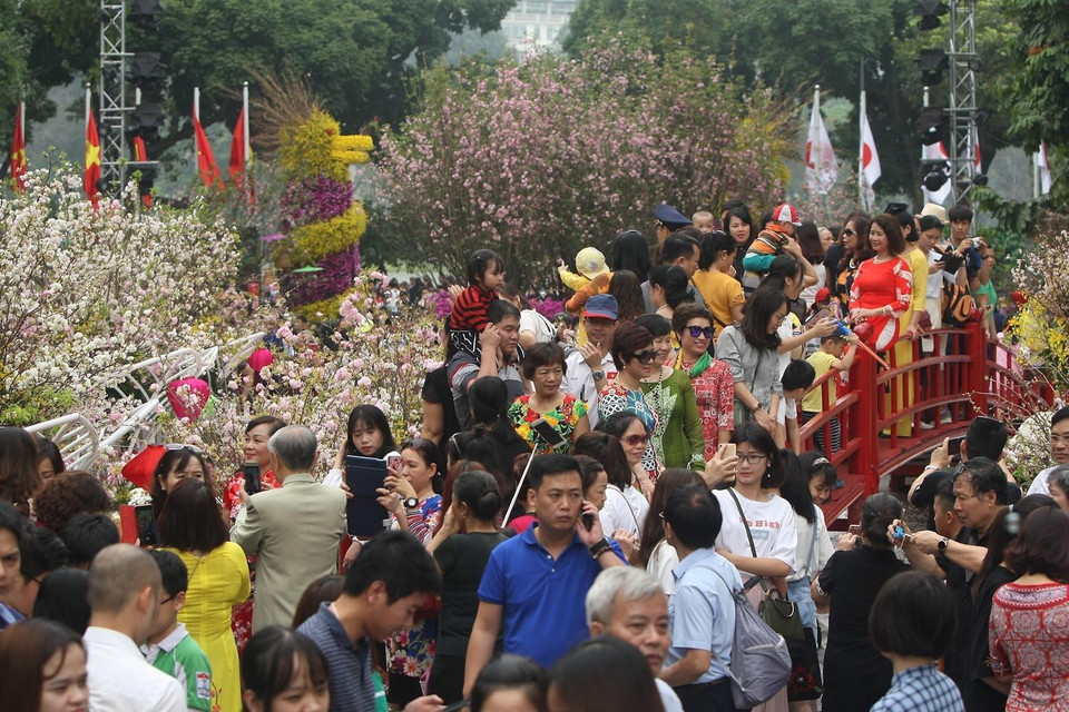Người dân và du khách tham quan, thưởng lãm hoa anh đào tại không gian lễ hội. (Ảnh: Thanh Tùng/TTXVN)
